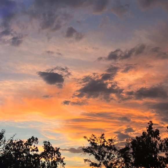 Meet your Posher, Posh - Picture 1 of 1